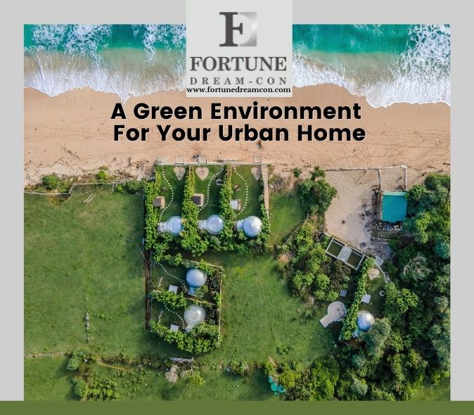 A Green Environment For Your Urban Home
